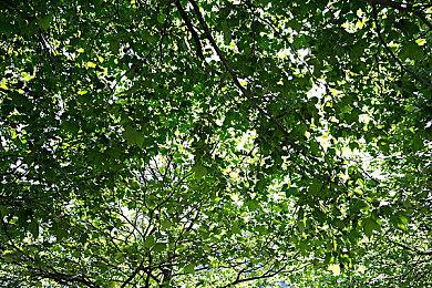 PS5谷歌地图版搞笑广告：无论男女老幼都抱着一台PS5